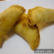 Close-up of a perfectly fried beef empanada