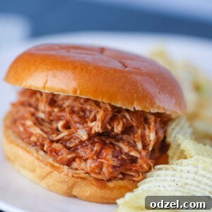 Pulled BBQ chicken sandwich with potato chips on the side.