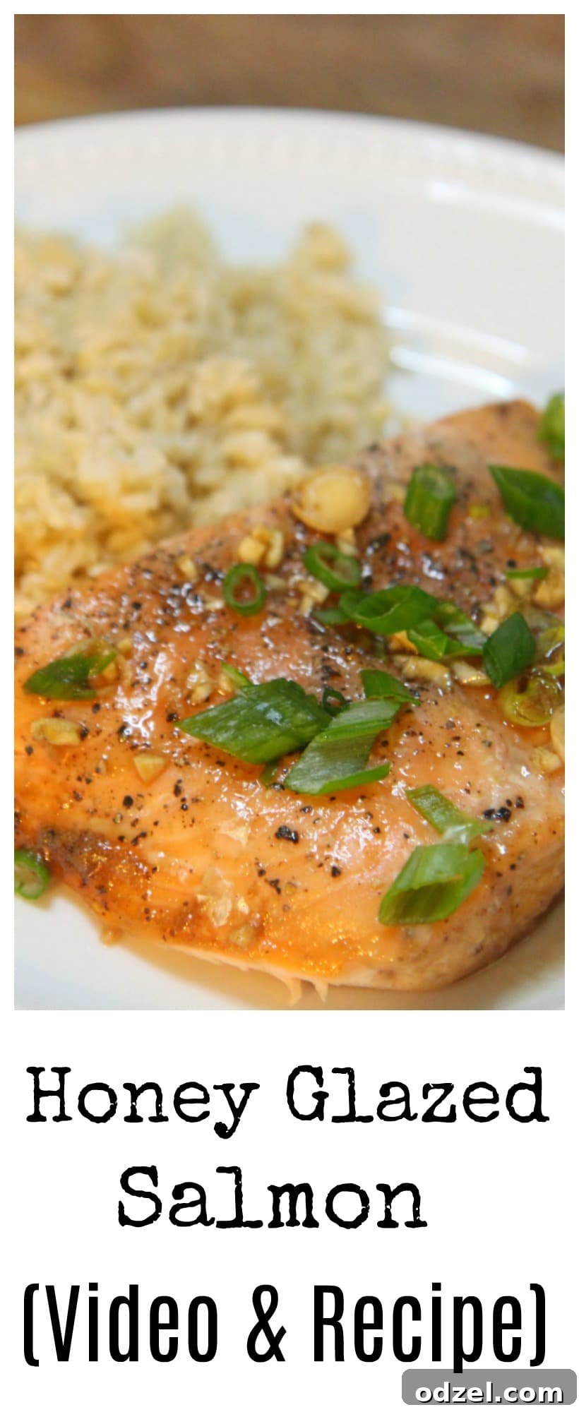 Golden Honey Salmon 3 Close-up of honey glazed salmon, showing the beautiful texture and caramelized glaze.