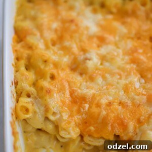 butternut squash mac and cheese in a casserole.