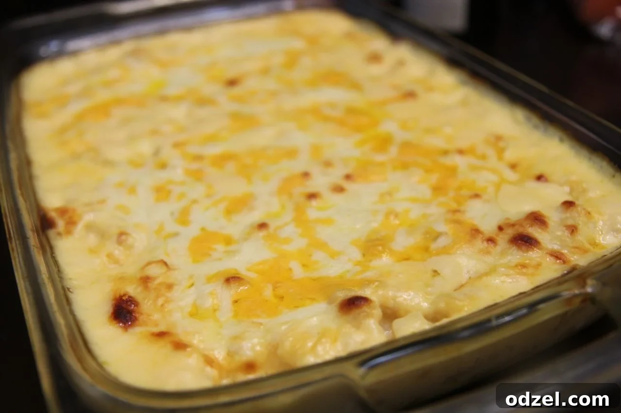 Rich Five-Cheese Macaroni Bake 2 Golden, summery and savory mac and cheese, fresh out of the oven and ready to be served!