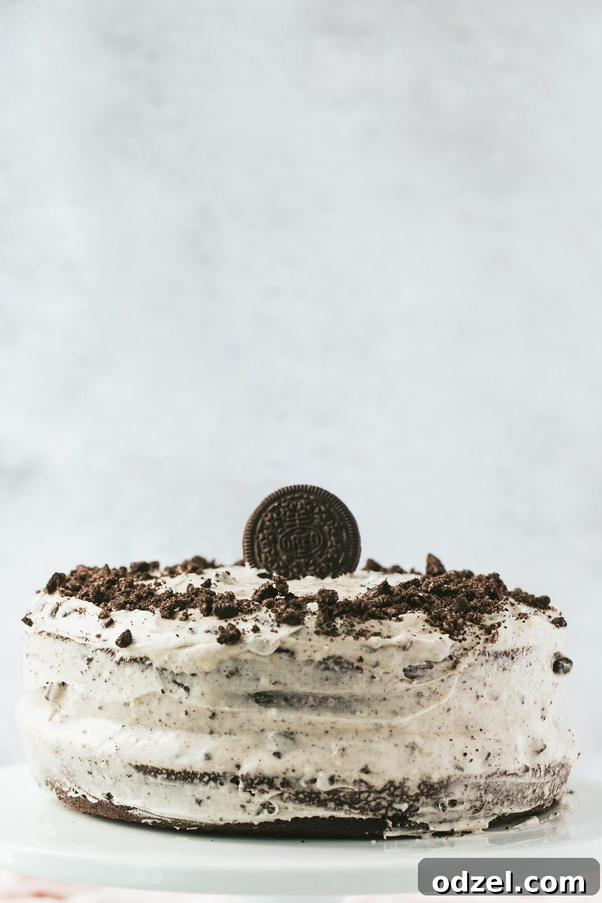 A beautifully decorated two-layer Oreo cake, featuring a single Oreo cookie on top and crushed Oreo crumbs delicately scattered around the sides. The cake is presented against a soft, light background, highlighting its rich chocolate color and creamy white frosting.