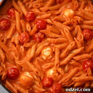 Zesty Vodka Penne 2 spicy penne alla vodka in a skillet.