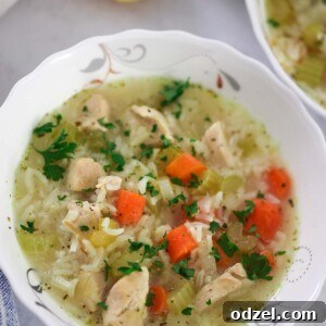 a small bowl of chicken and rice soup up close.