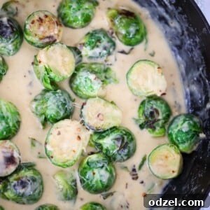 Creamy garlic brussels sprouts in a skillet up close.