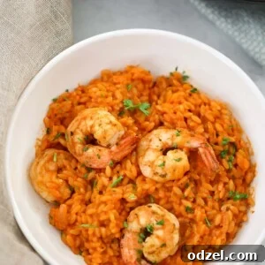 A white bowl filled with creamy tomato orzo and perfectly cooked shrimp, garnished with fresh parsley.