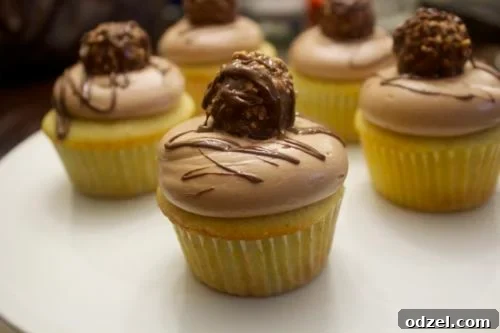 Decadent Nutella Cupcakes 2 Nutella cupcakes with chocolate candies on top, elegantly arranged for a dessert display
