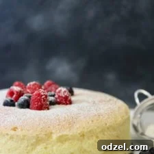 Japanese Cotton Cheesecake with fresh fruit and powdered sugar