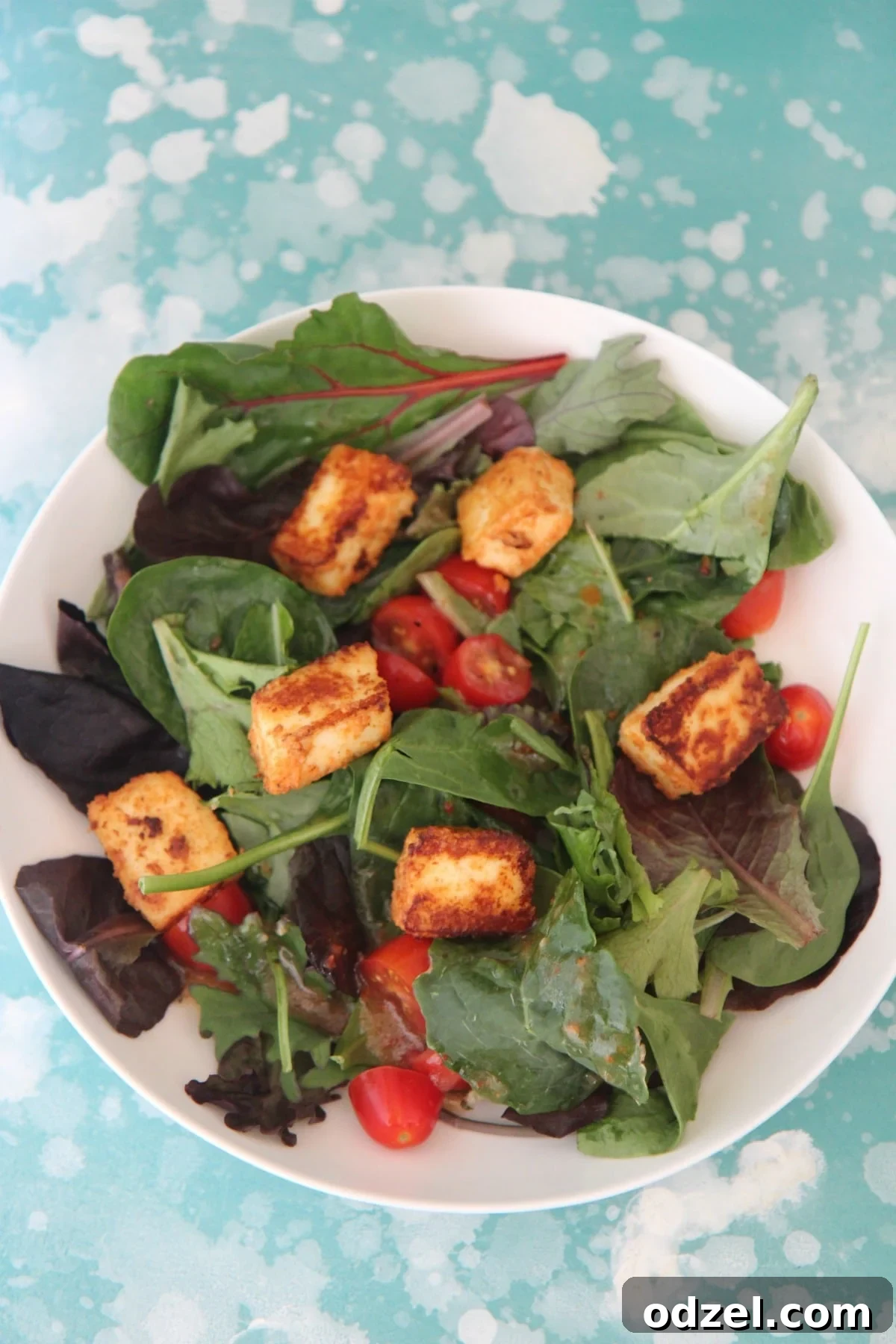 Fresh Paneer Power Salad 3 Marinated Paneer Warm Salad Garnished with fresh herbs and spices
