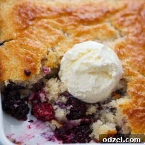 Blackberry cobbler with vanilla ice cream on top.