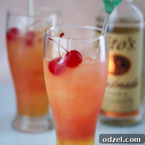 Tropical Sunset Cocktail 2 two sex on the beach drinks with a bottle of vodka in the background.