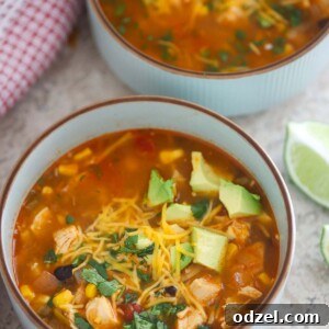 Fiesta Chicken Noodle Soup 2 Two bowls of chicken noodle taco soup with a lime wedge on the side.