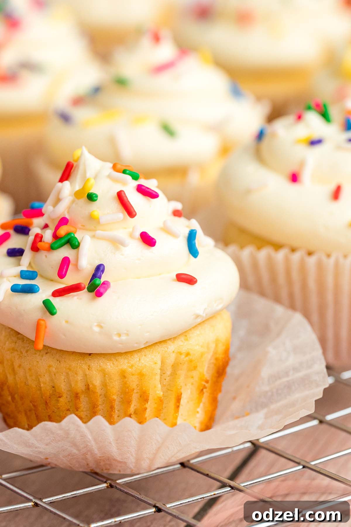 Vanilla cupcake with white frosting and rainbow sprinkles, showcasing its moist texture and perfect swirl of frosting.