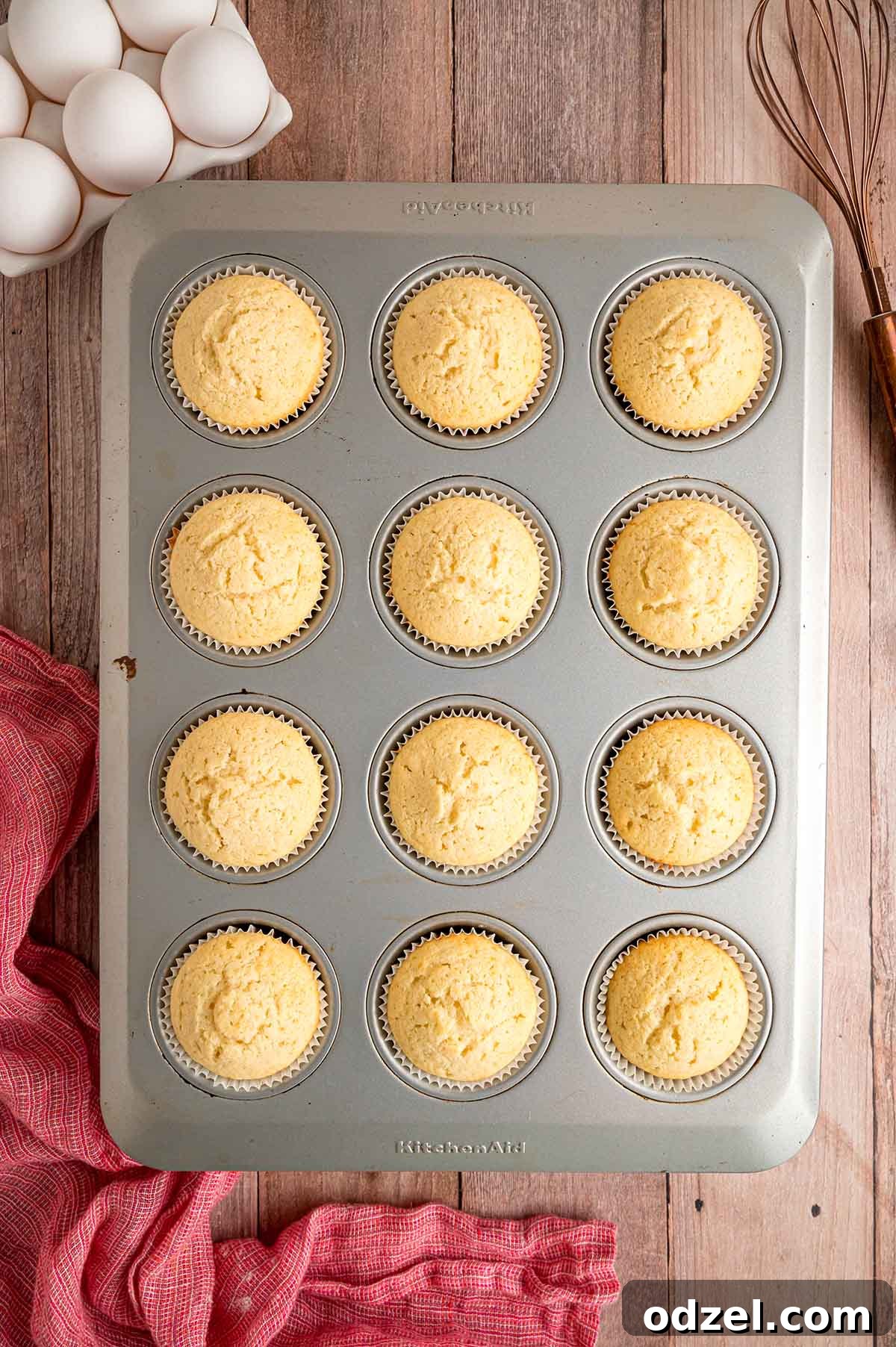 Freshly baked vanilla cupcakes cooling in a cupcake tin, waiting to be frosted.