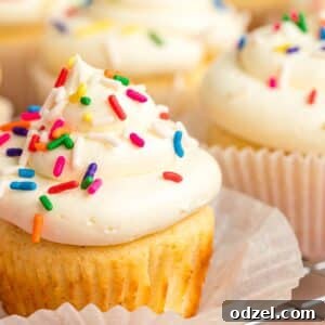 Vanilla cupcake with white frosting and rainbow sprinkles, representing the Moist Vanilla Cupcakes.