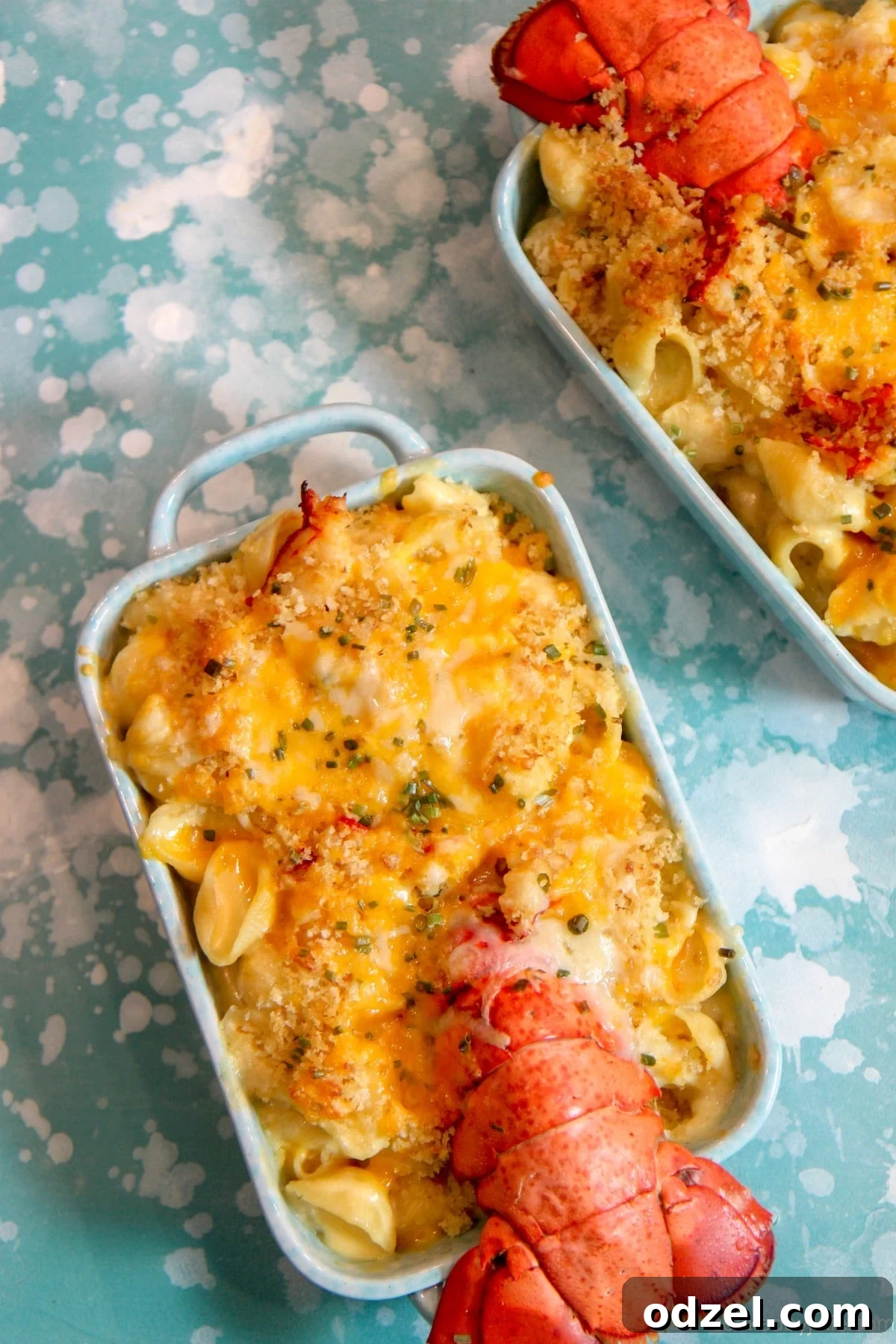Creamy lobster mac and cheese