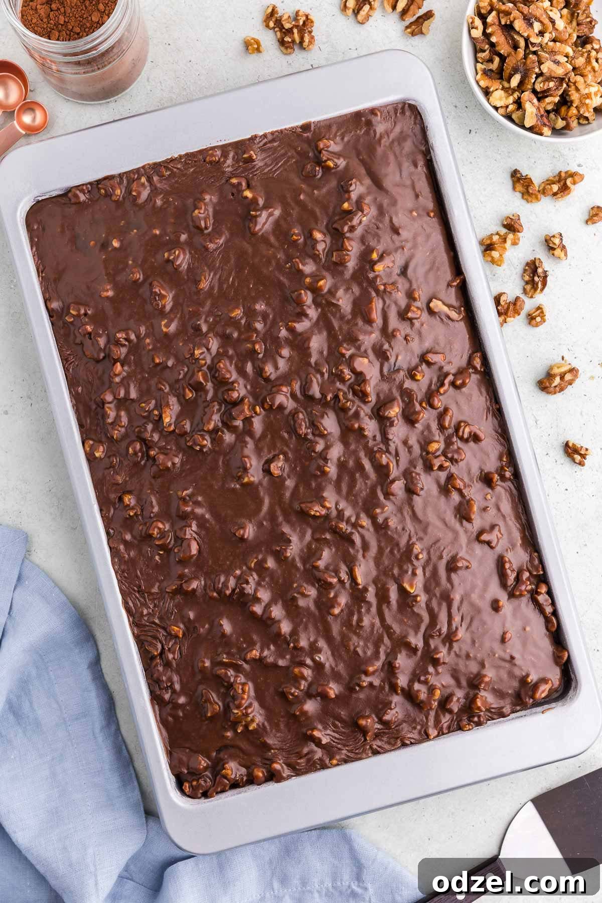 Decadent Texas Chocolate Sheet Cake 2 A large 9x13 chocolate cake, generously covered with a rich, dark chocolate frosting and sprinkled with chopped walnuts, served in its baking sheet.