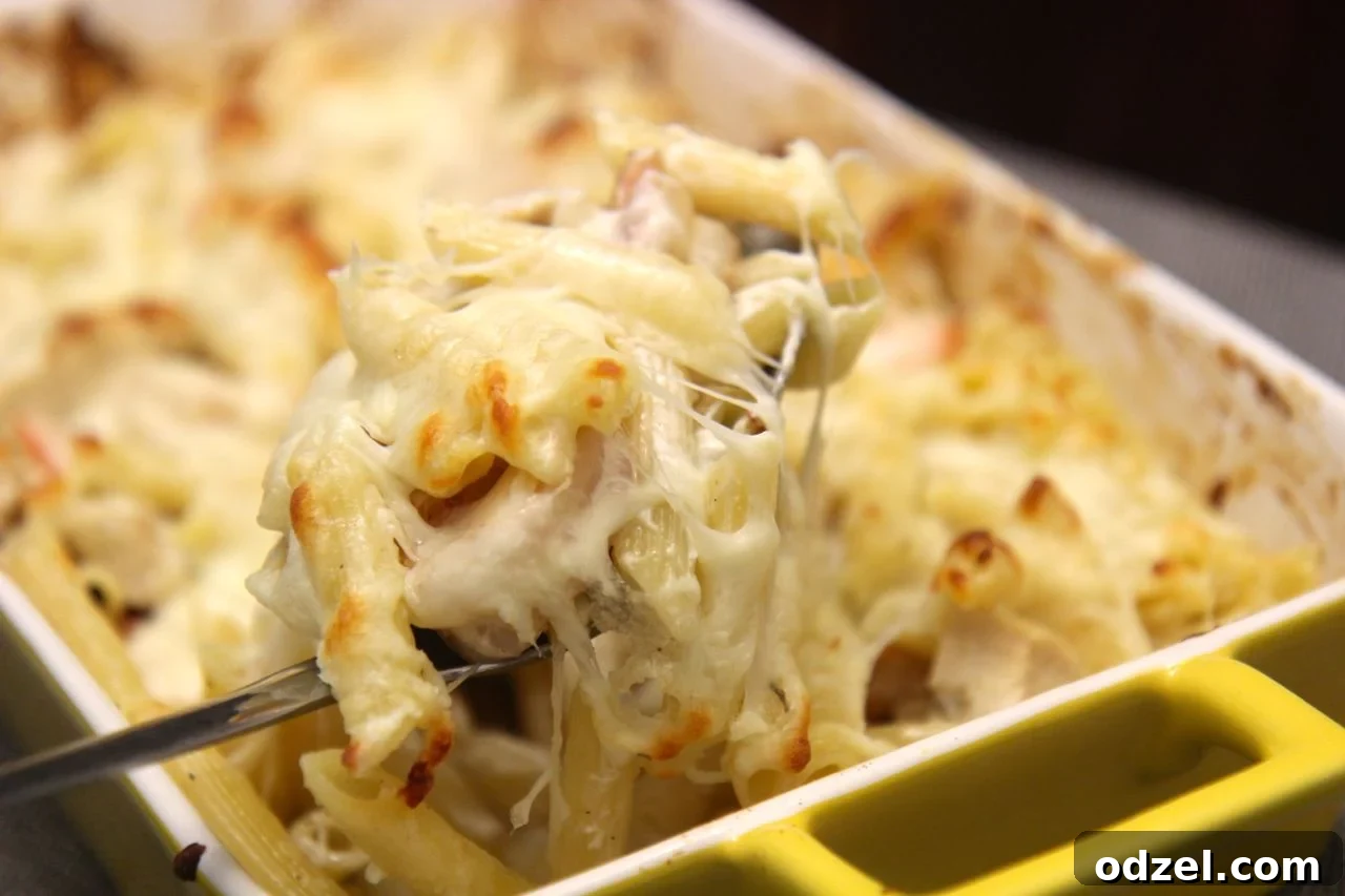 A close-up of a golden-brown, cheesy chicken and shrimp pasta bake, fresh out of the oven, garnished with fresh herbs. The rich, melted cheese and tender ingredients are visible.