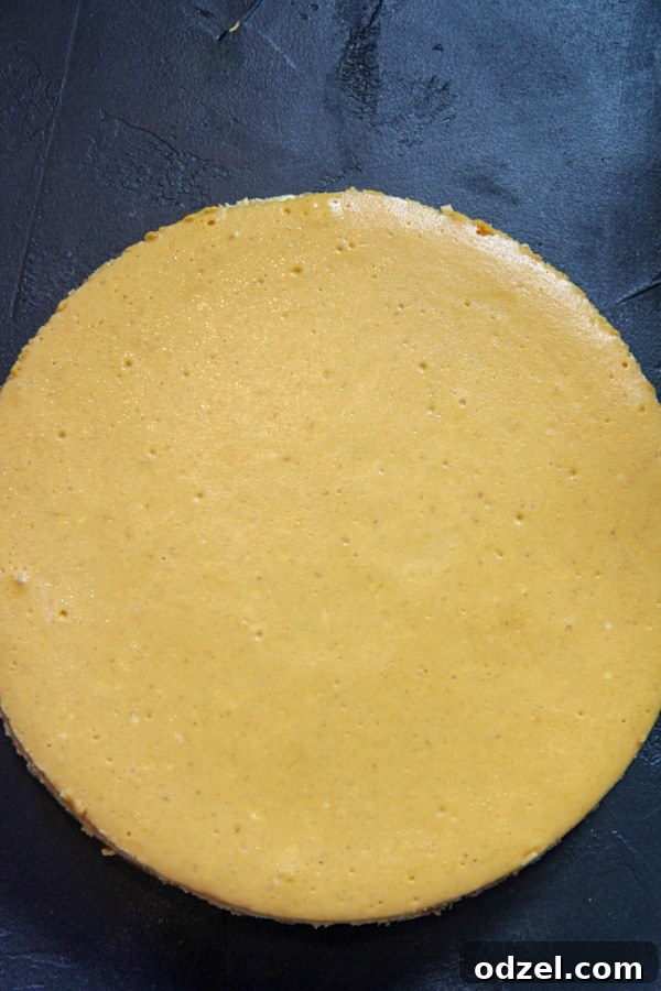 Decadent Cognac Pumpkin Cheesecake 3 A beautifully baked pumpkin cognac cheesecake cooling, showcasing its smooth, uncracked surface before being garnished. Perfect for fall and holiday gatherings.