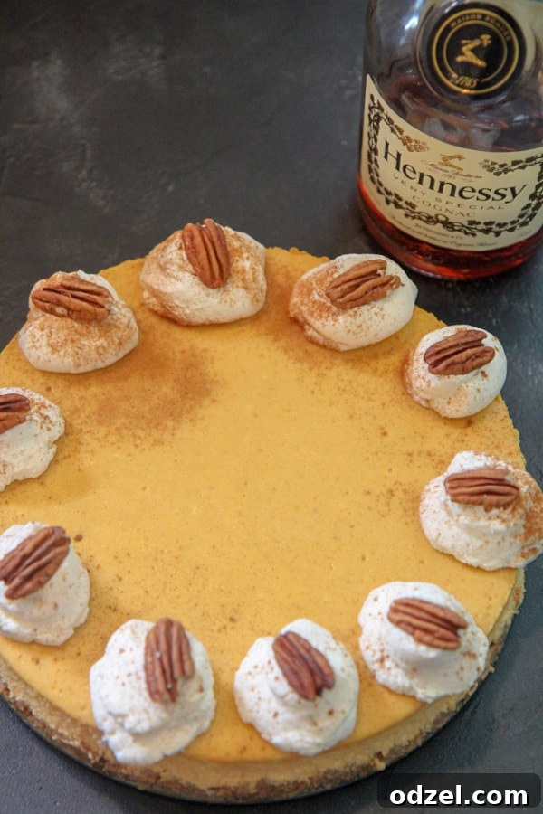 Decadent Cognac Pumpkin Cheesecake 4 A generous slice of pumpkin cognac cheesecake, adorned with a swirl of vanilla whipped cream and a sprinkle of chopped pecans, ready to be served.