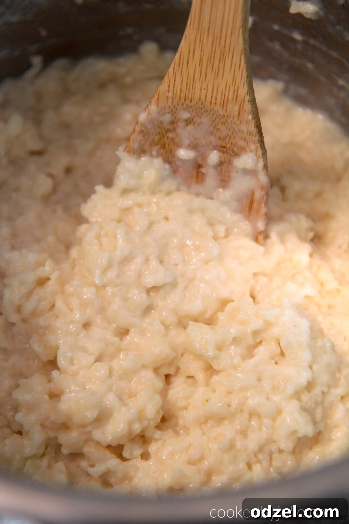 Quick and Creamy Instant Pot Rice Pudding 3 Instant Pot rice pudding in a serving bowl with a wooden spoon.