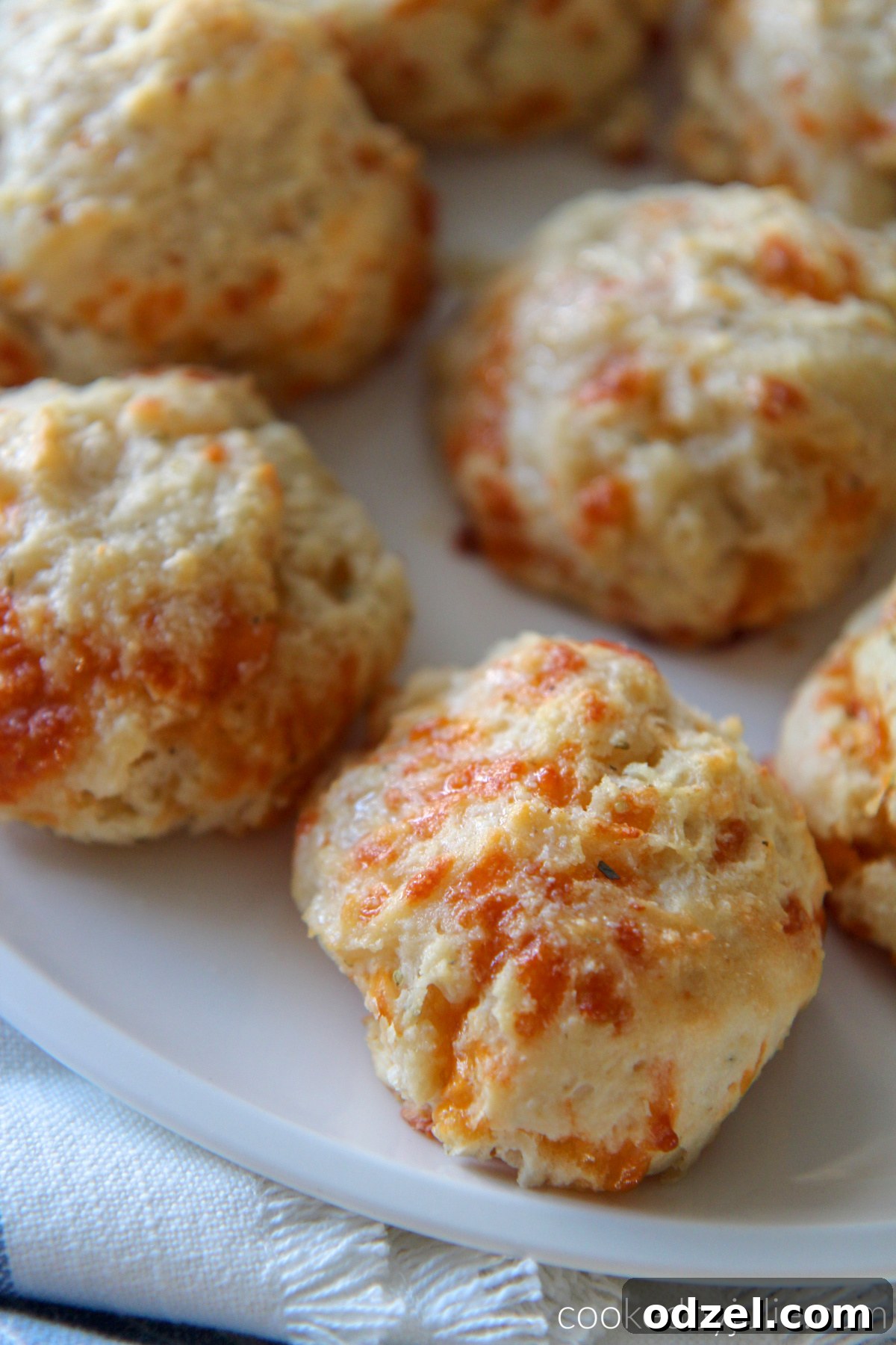cheddar garlic biscuits upclose