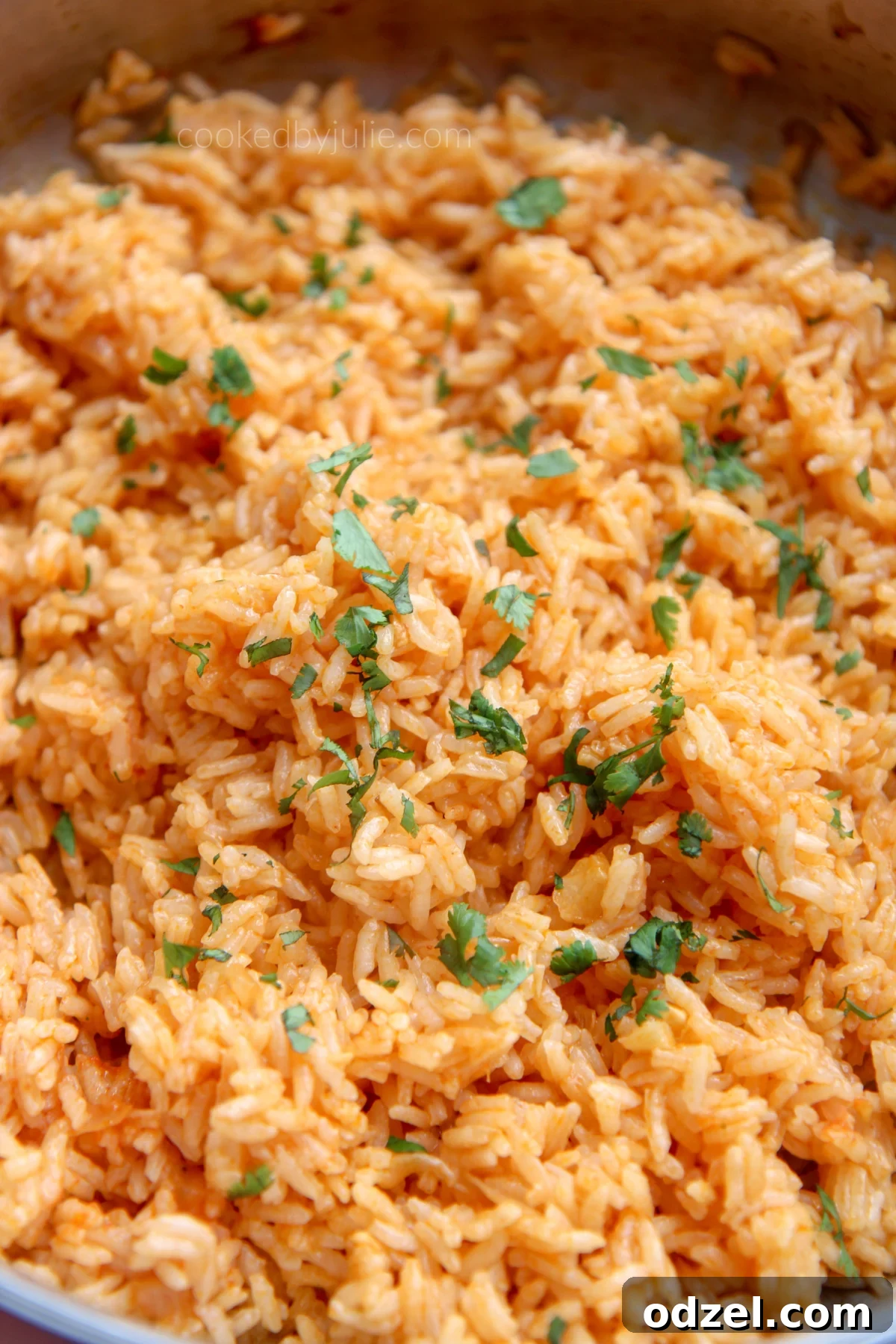 a large serving of Spanish rice and fresh cilantro 