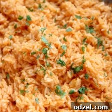 a large serving of Spanish rice and fresh cilantro