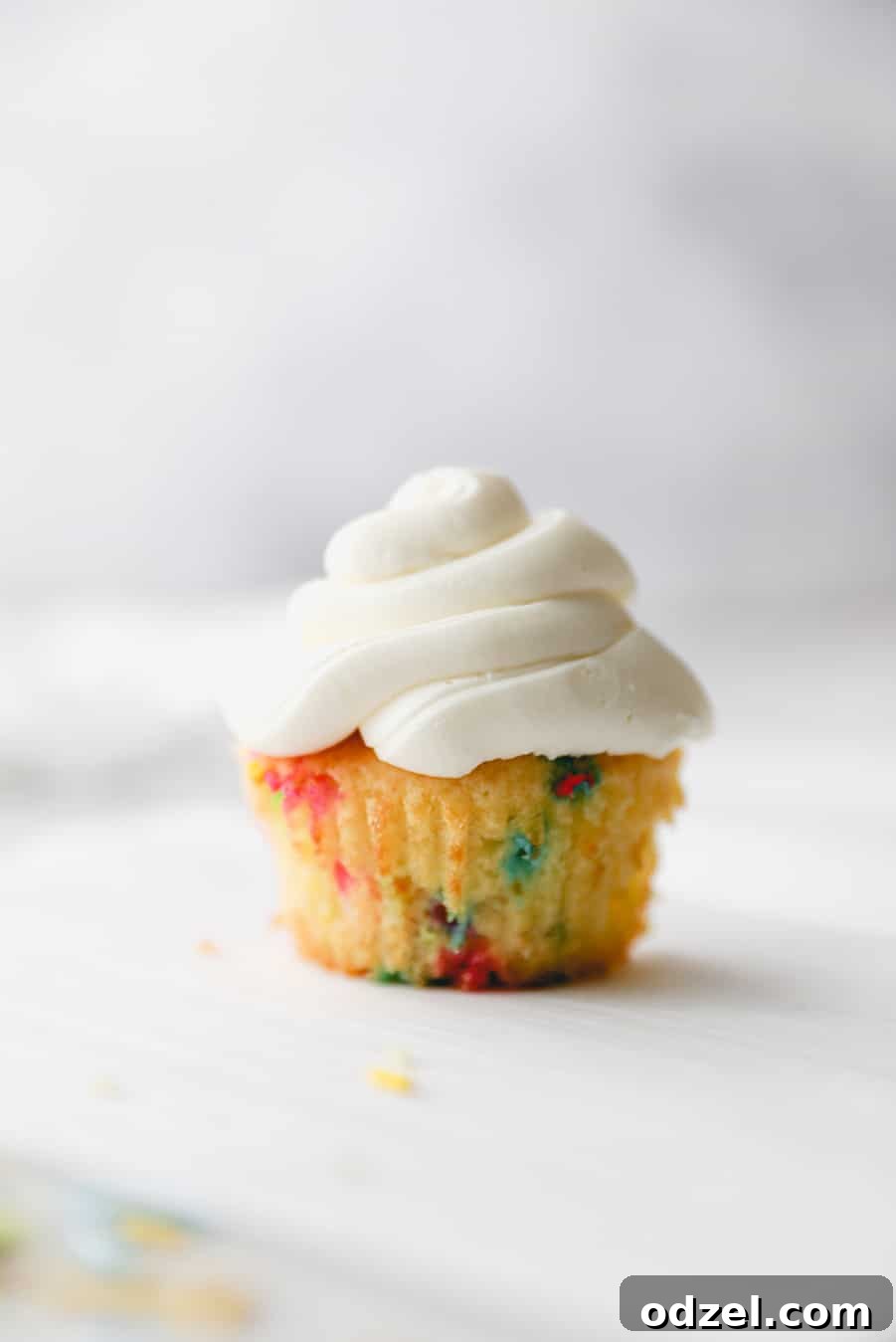 Celebration Funfetti Cupcakes 2 One funfetti cupcake with vanilla buttercream, showcasing colorful sprinkles.
