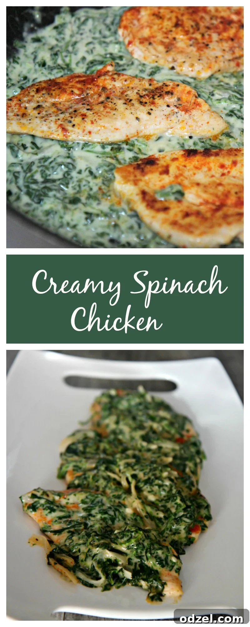 A top-down view of Creamy Spinach Chicken, perfectly plated for a delicious meal