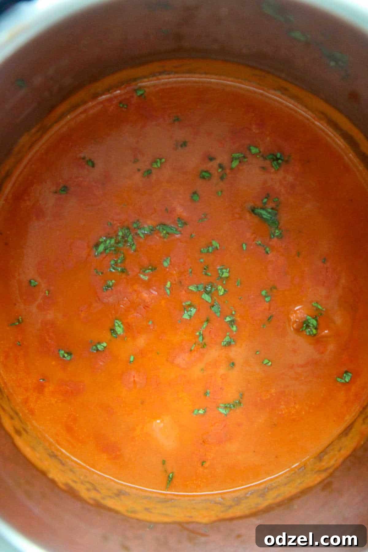 Creamy Instant Pot Butter Chicken in Minutes 3 Instant Pot filled with butter chicken garnished with fresh cilantro, ready to be served.