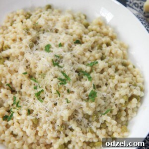 couscous with parmesan cheese and parsley in a white plate