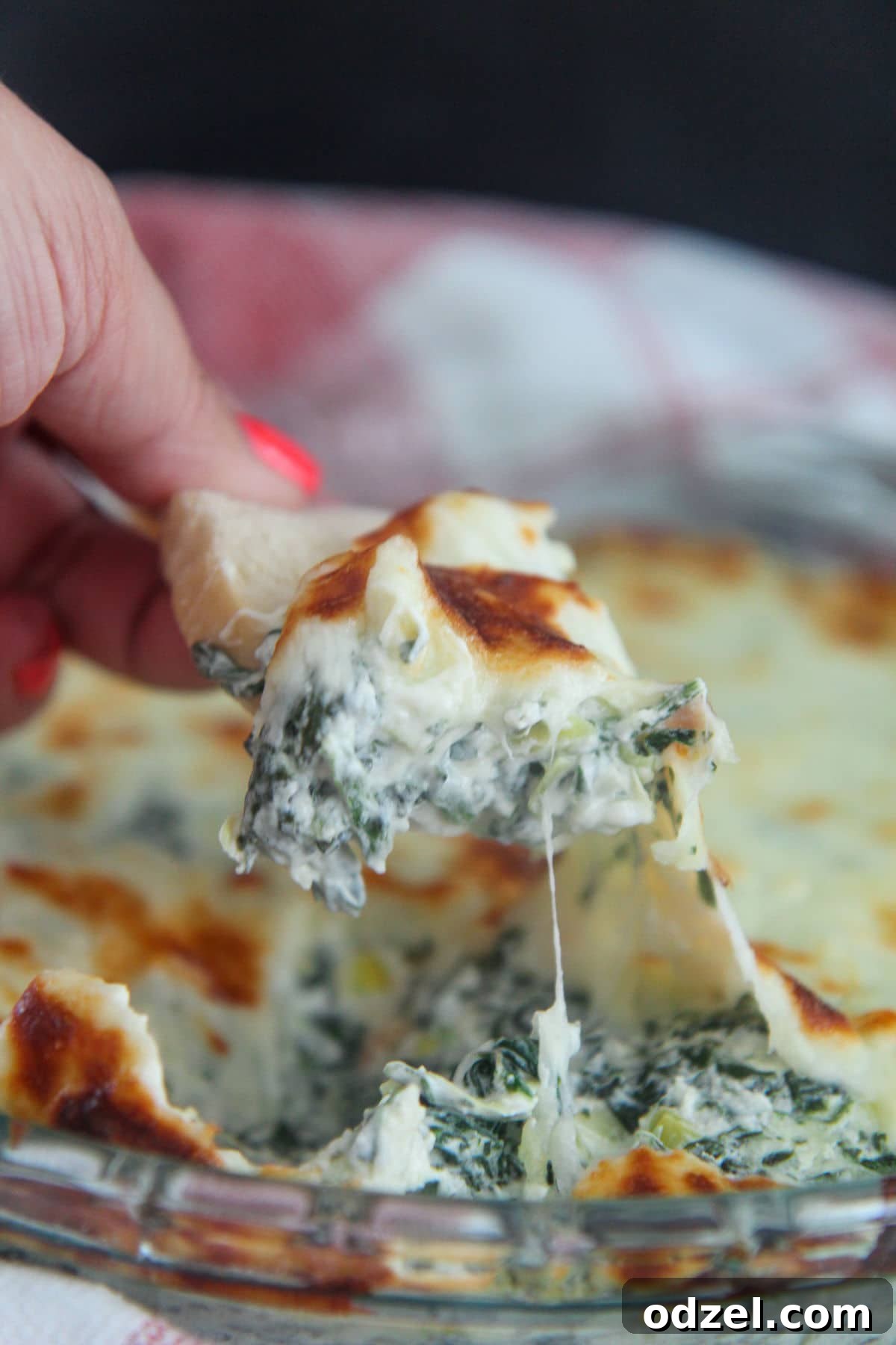 a slice of bread with dip