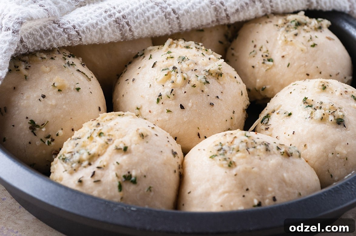 Ultimate Garlic Parmesan Dinner Rolls 3 Balls of raw dough rising in a white baking dish, covered with a white towel, showcasing the proofing process
