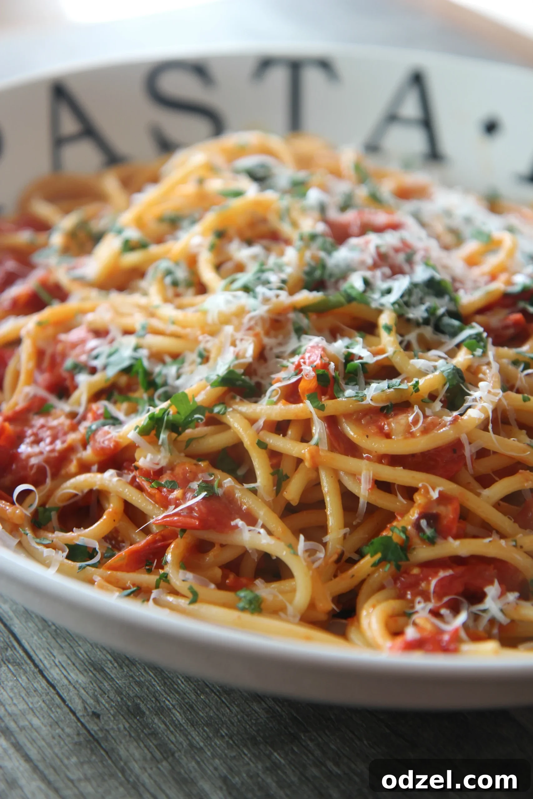 A vibrant bowl of Roasted Tomato Bucatini featuring tender pasta, sweet roasted grape tomatoes, and a light sprinkle of mozzarella cheese, perfect for a fresh pasta dish.