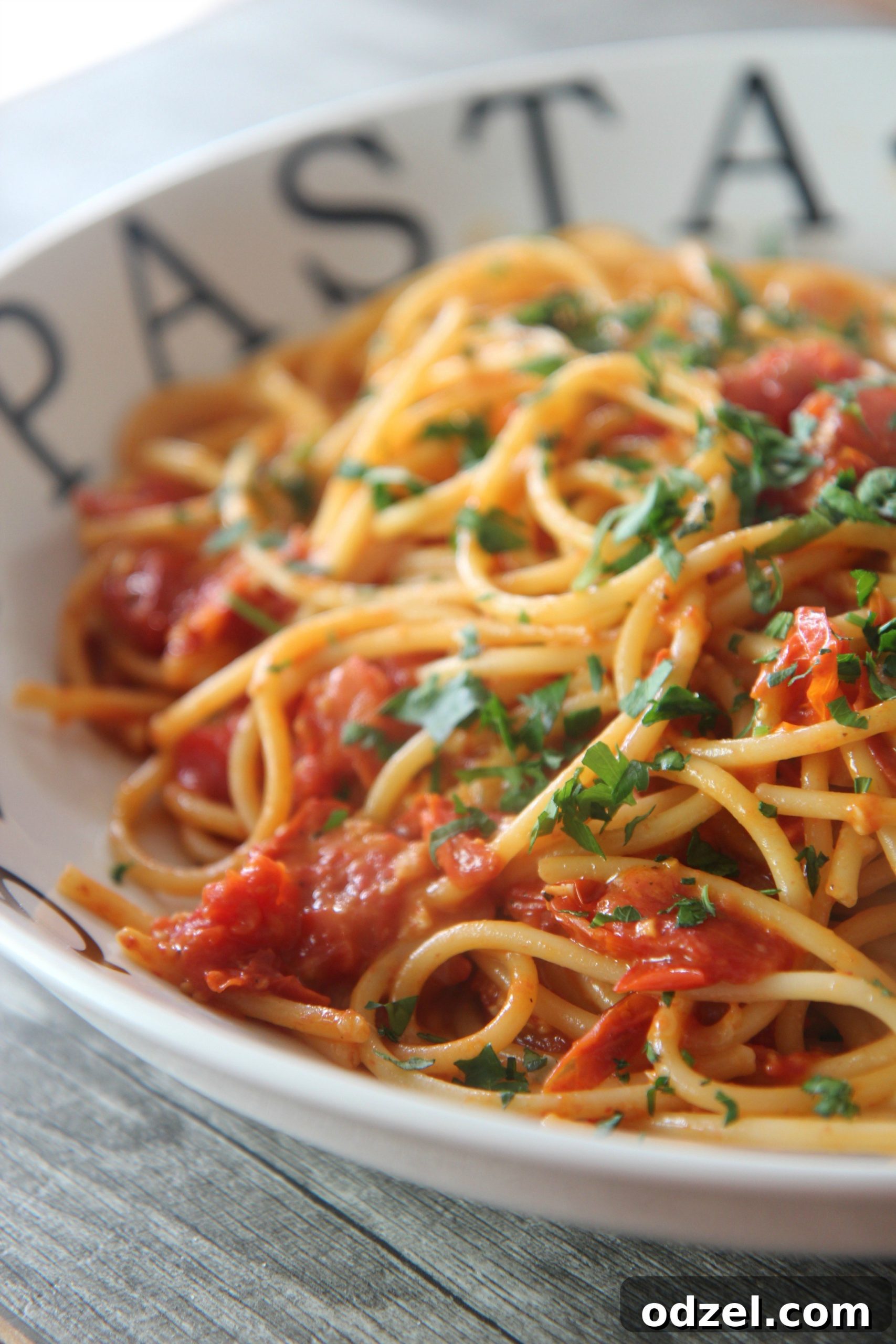 A serving of tender bucatini pasta coated in a homemade sauce of freshly roasted tomatoes, garnished with fragrant fresh basil and a generous grating of parmesan cheese.