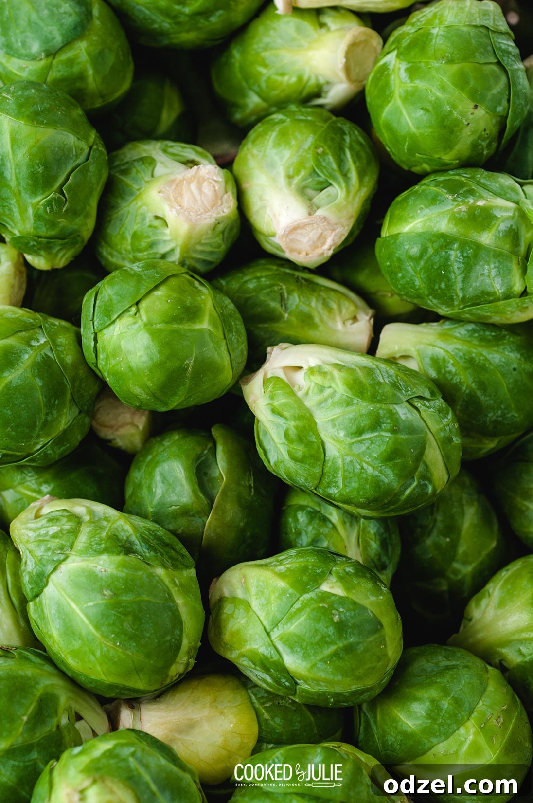a lot of raw Brussel sprouts up close