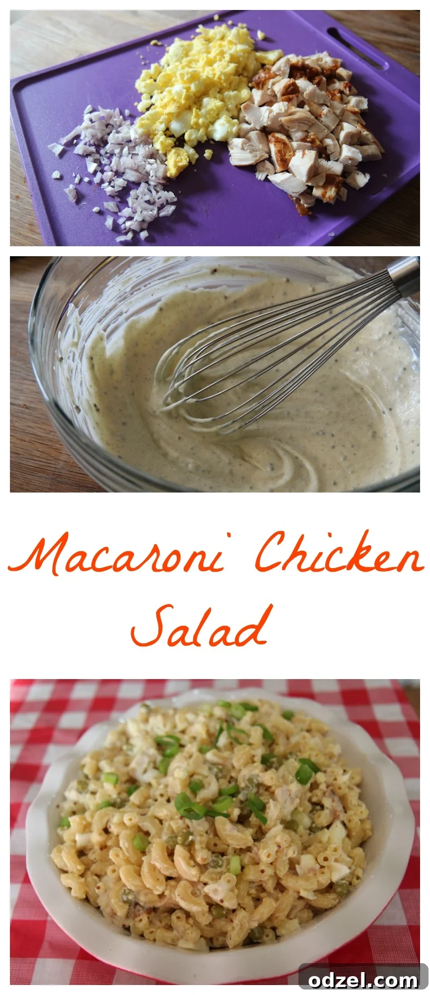 A bowl of creamy macaroni chicken salad ready to be enjoyed from Cookedbyjulie.com
