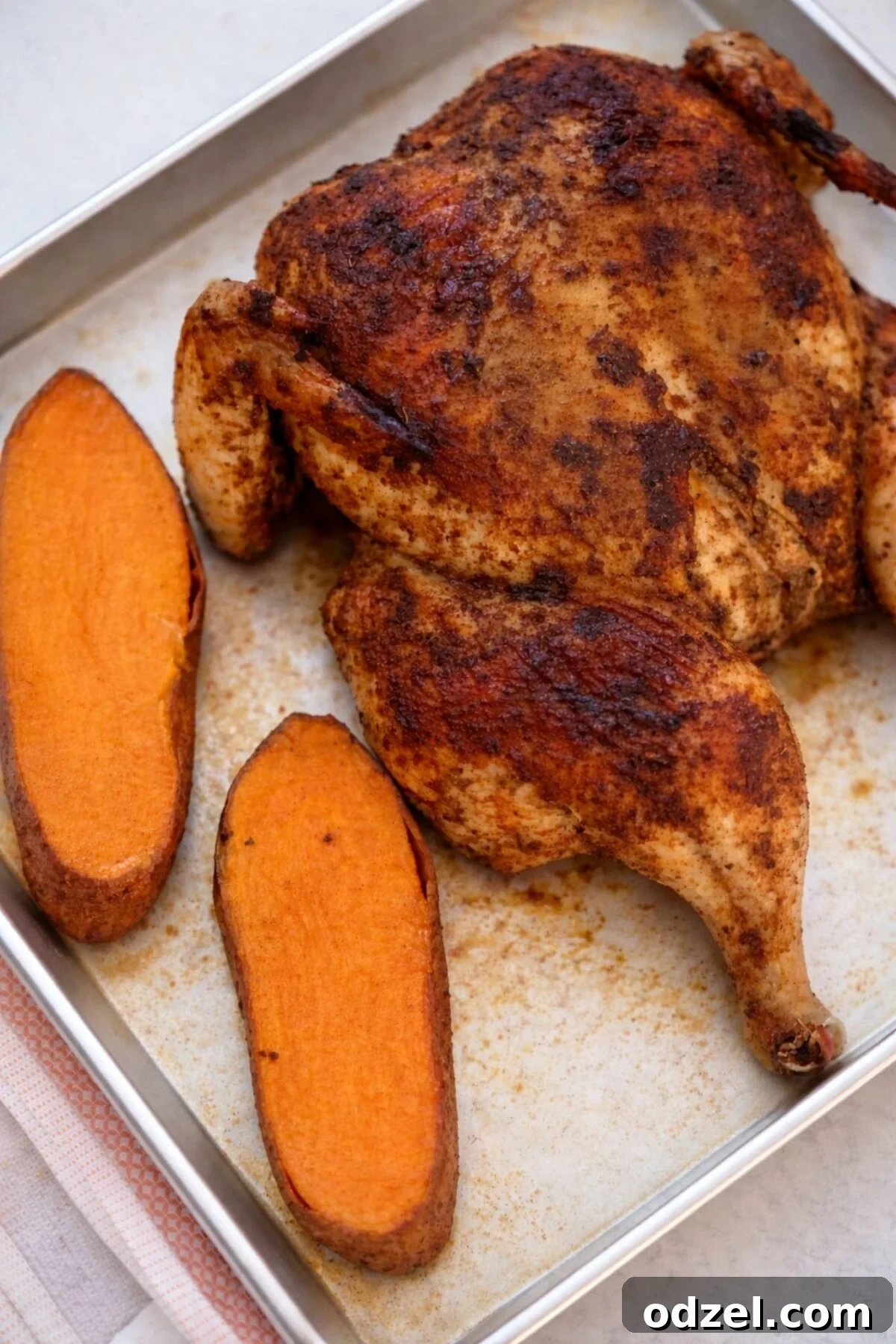Cooked spatchcock chicken with beautifully roasted sweet potatoes on a single sheet pan, garnished with fresh herbs.