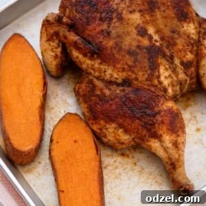 Cooked spatchcock chicken with roasted sweet potatoes on a sheet pan.