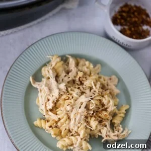 Crockpot creamy chicken pasta on a plate.