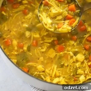 Chicken noodle soup in a dutch oven with a ladle.