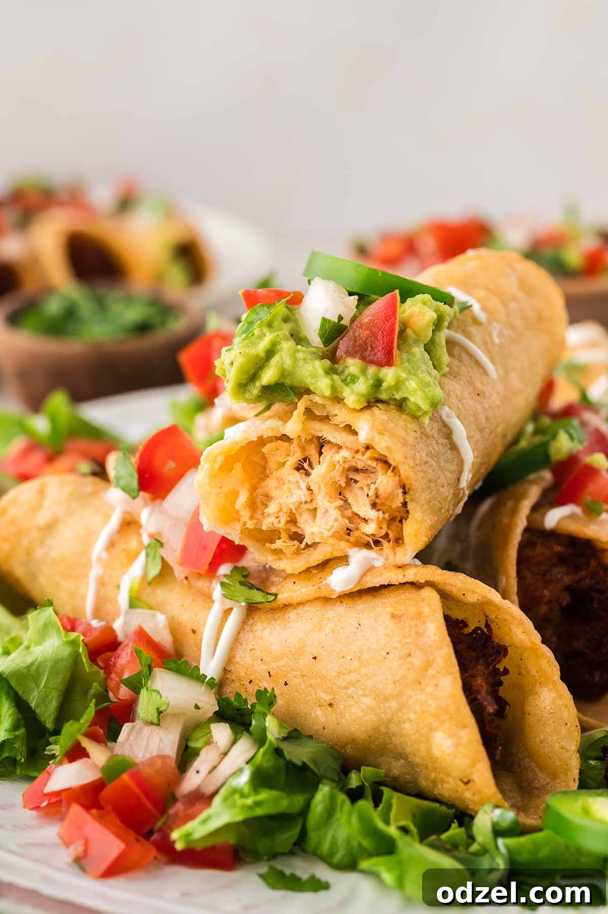 Smoky Chipotle Chicken Flautas 9 a chicken flat up close.