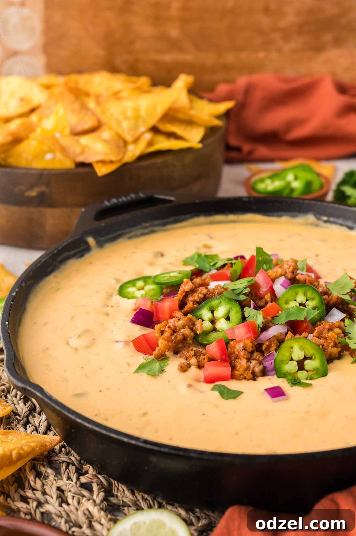 Melted Queso con Chorizo Dip Recipe for Parties 6 queso with chorizo up close.