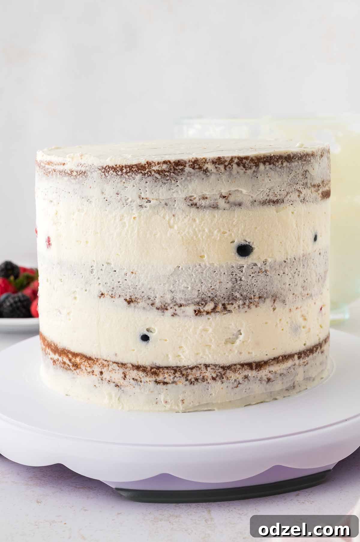 Light and Creamy Chantilly Cake Recipe for Special Occasions 9 Frosted three layer cake.