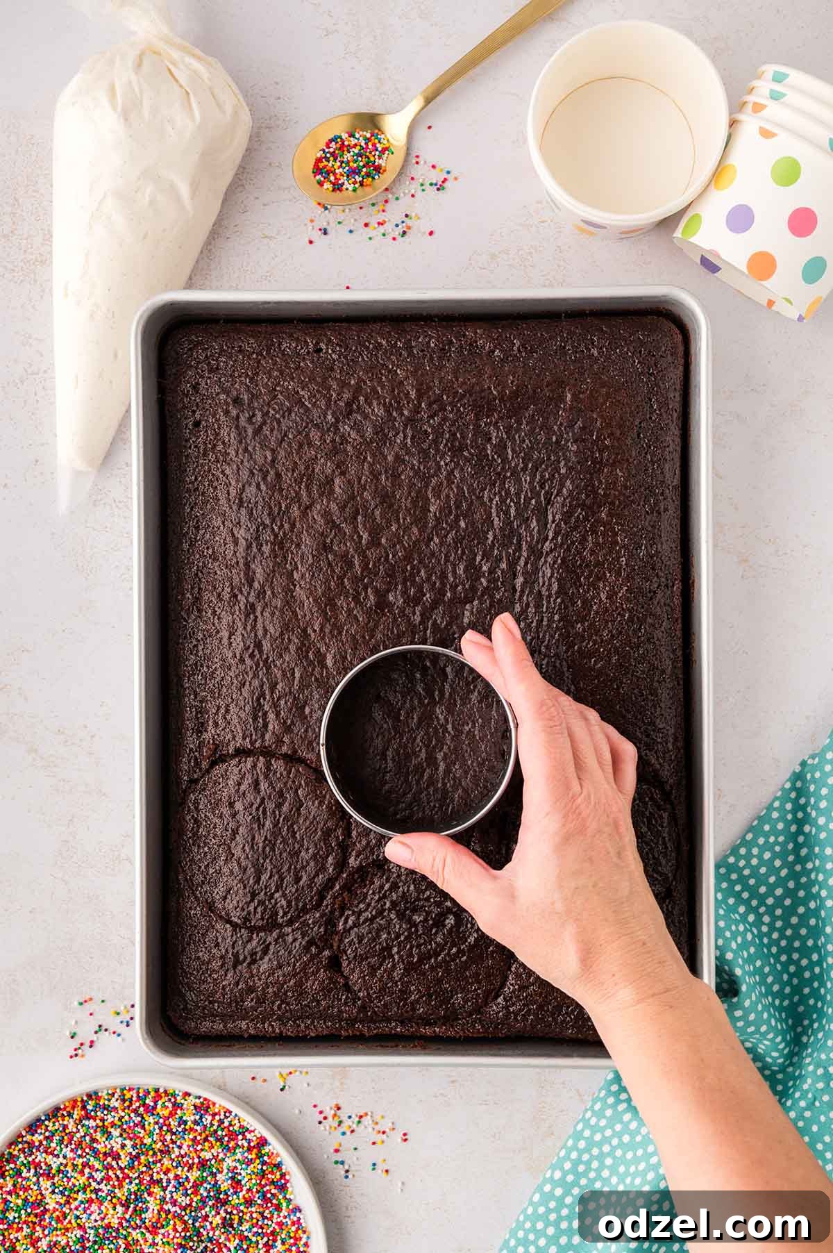 Copycat Dot Cakes Recipe: Make Classic Mini Cake Bites at Home 6 Round cookie cutter cutting circles from a chocolate cake.