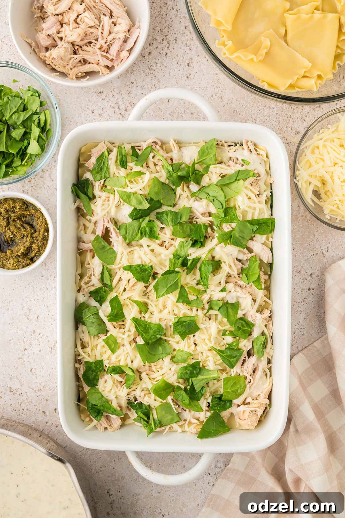 Creamy Pesto Chicken Lasagna Recipe 9 Fresh spinach and shredded mozzarella cheese on top of lasagna noodles.