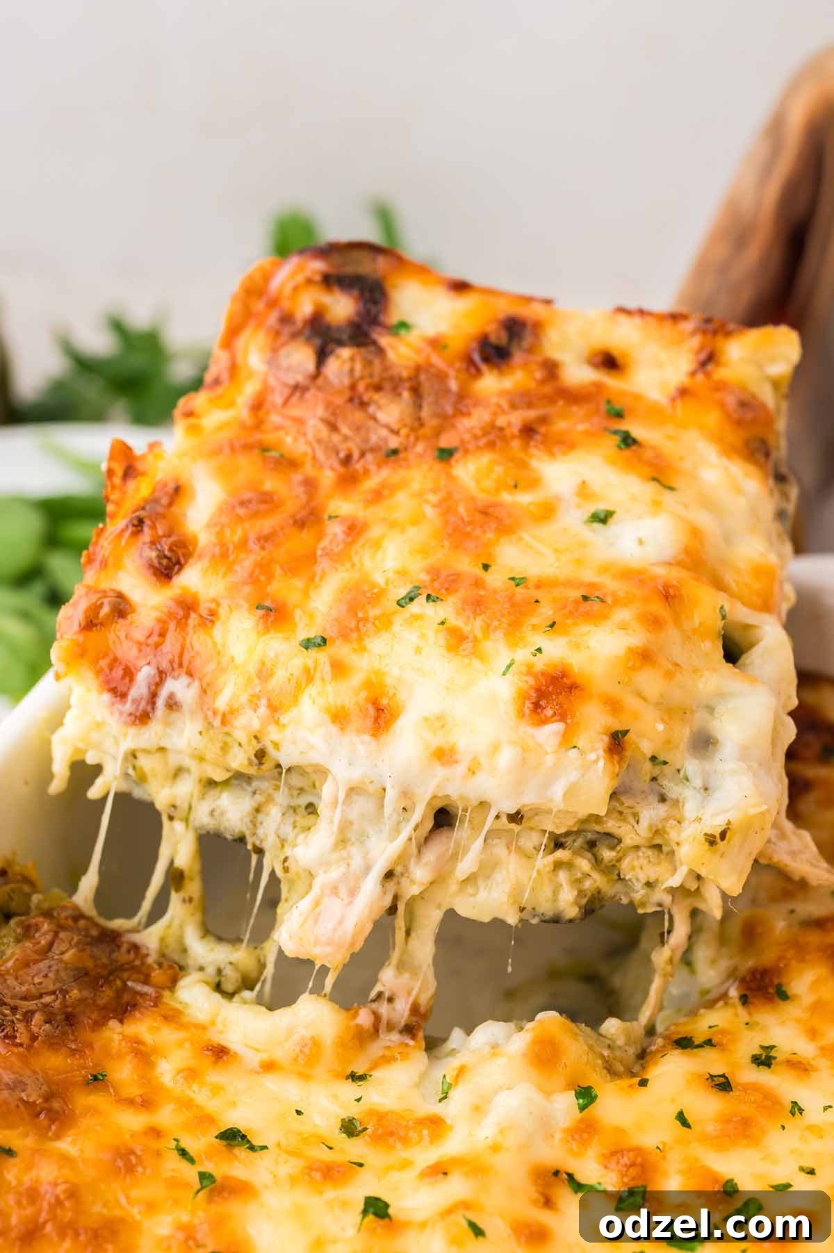 Creamy Pesto Chicken Lasagna Recipe 10 Cheesy slice of white chicken lasagna being lifted from the baking dish.