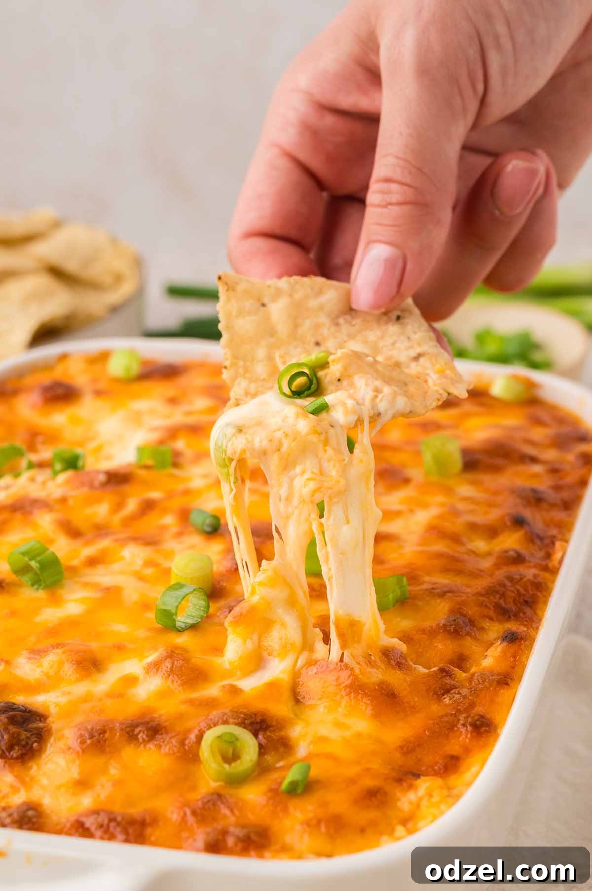 Classic Buffalo Chicken Dip Recipe 7 a hand holding a tortilla chip with chicken dip.