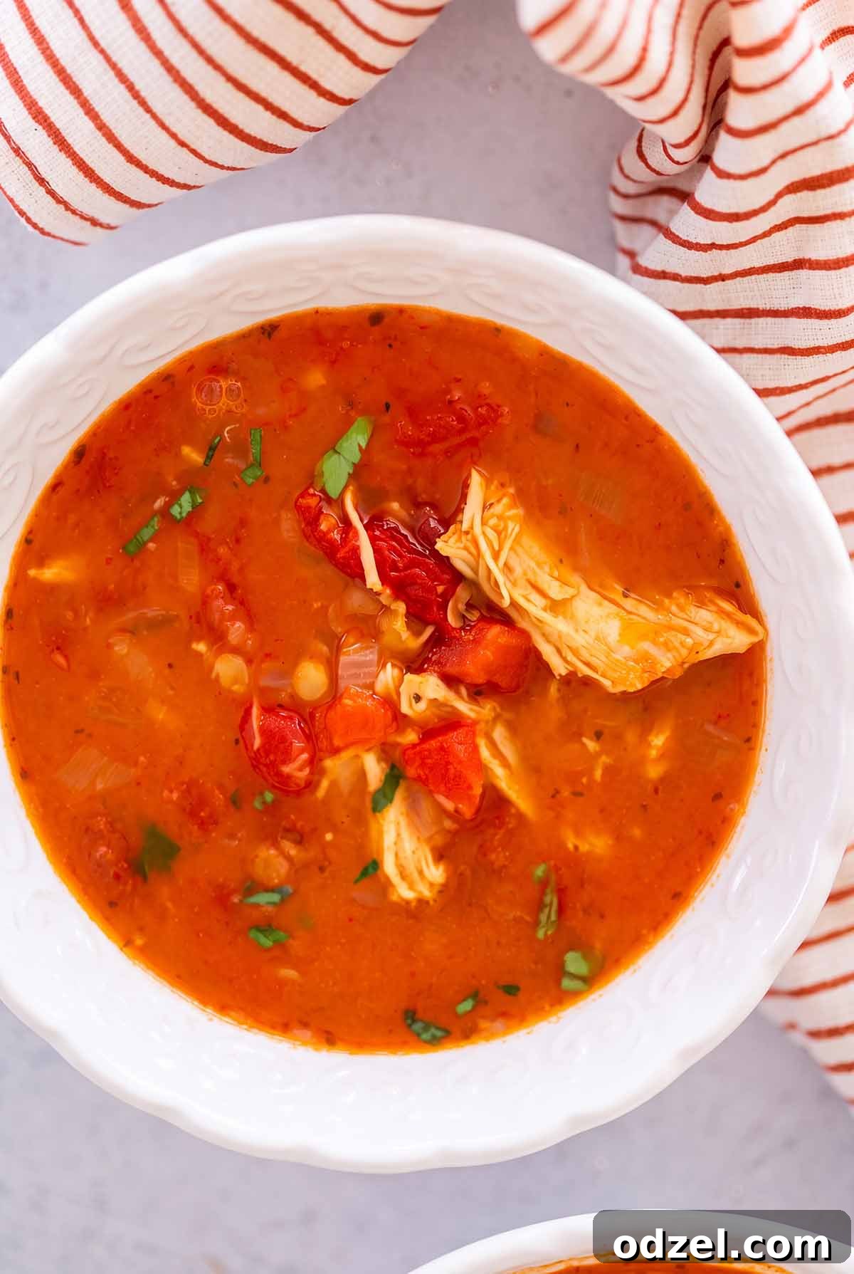 Comforting Chicken, Tomato and Lentil Soup Recipe 2 chicken tomato lentil soup in a white bowl with a towel on the side.